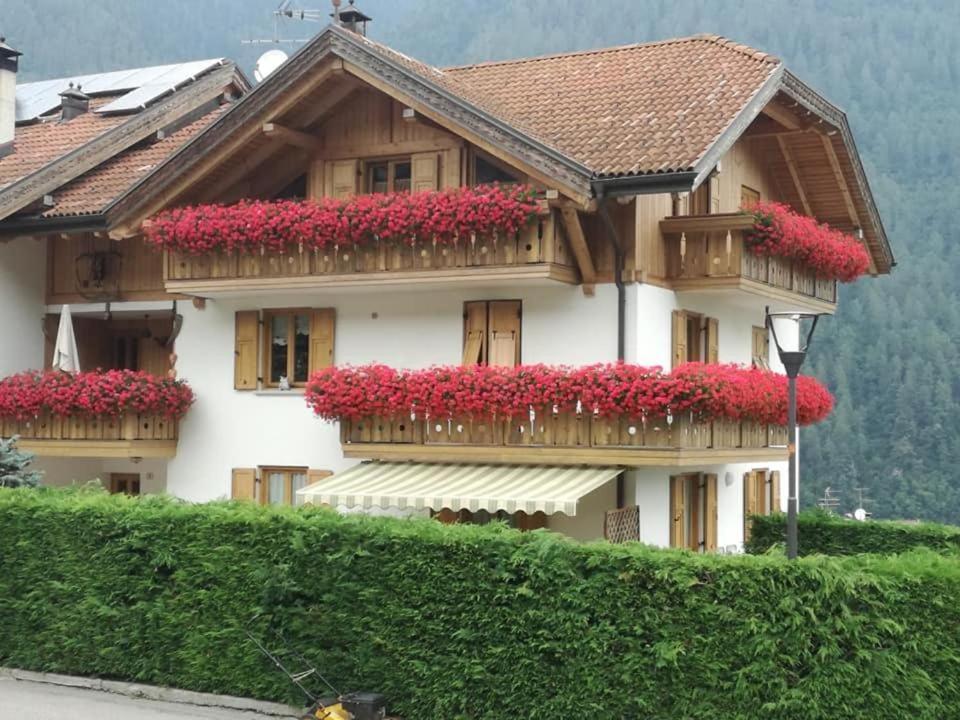 Appartamento Mansarda Patrizia E Franco Val Di Sole Комецадура Екстериор снимка
