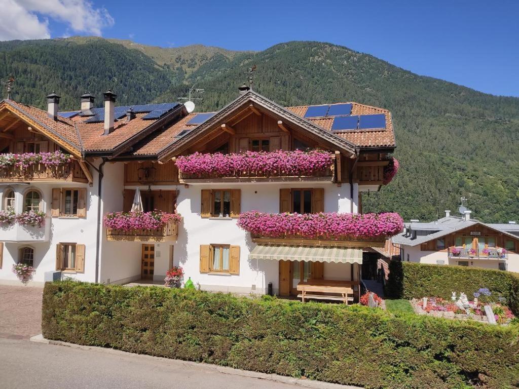 Appartamento Mansarda Patrizia E Franco Val Di Sole Комецадура Екстериор снимка